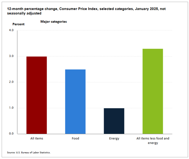 chart with 12-month percentage change, Consumer Price Index, selected categories, January 2025, not seasonally adjusted
