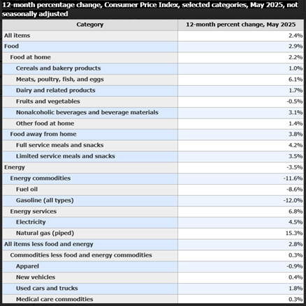 chart titled "12-month percentage change, Consumer Price Index, selected categories, May 2025, not seasonally adjusted"