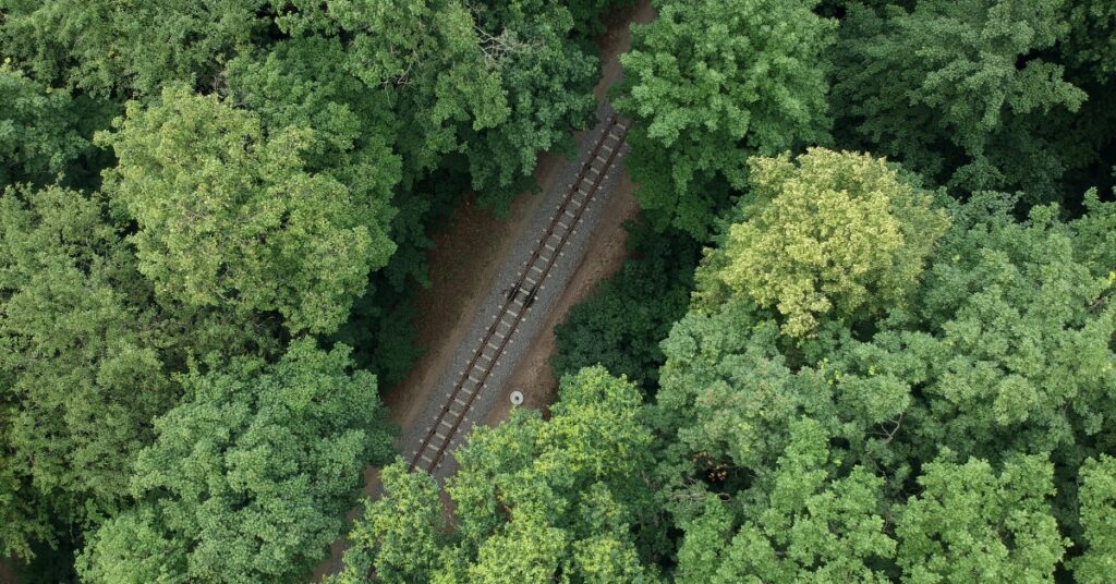 scenic view of railroad tracks