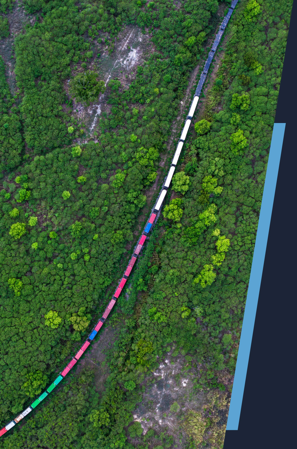 colorful shipping containers on a train winding through a green forest